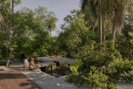 A Forest in the House